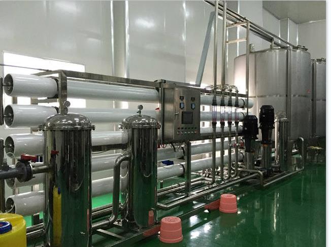 4吨双级纯净水设备